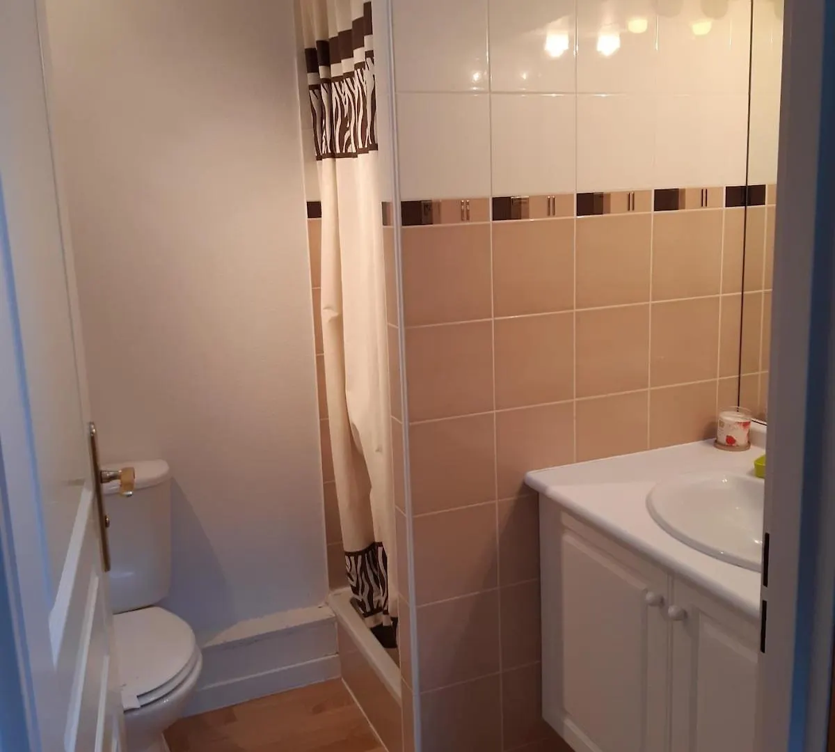 Appartement Duplex Classe 4 Etoiles Plein Centre Village Saint-Lary-Soulan France